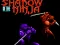Permainan Shadow of the Ninja secara online