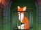 Permainan Fox in the Forgotten Ruins secara online