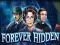 Permainan Forever Hidden secara online