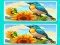 Permainan Spot the Difference The Garden secara online