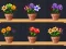 Permainan Good Flower Master secara online