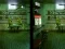 Permainan Robot Bar Spot the differences secara online