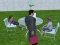 Permainan Millionaire Simulator 2024 secara online