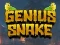 Permainan Genius Snake secara online