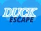 Permainan Duck Escape secara online