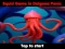 Permainan Squid Game In Dalgona Panic secara online