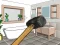 Permainan Smash The Room To Pieces secara online