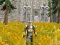 Permainan Axe Of The Ancients Dwarven Fury secara online