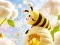 Permainan Find The Differences: Little Bee's Adventure secara online