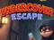Permainan Undercover Escape secara online