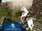 Permainan Ertugrul Gazi Horse Sim secara online