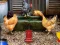 Permainan Poultry Farm Easter Escape secara online