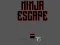 Permainan Ninja escape secara online