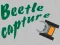 Permainan Beetle Capture secara online