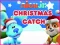 Permainan Nick Jr. Christmas Catch secara online
