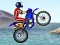 Permainan FMX team secara online