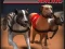 Permainan Greyhound Racing secara online