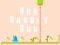 Permainan Run Rabbit Run secara online