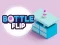 Permainan Bottle Flip secara online