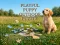 Permainan Playful Puppy Outdoor Puzzle secara online