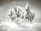 Permainan Horses Puzzle secara online