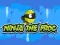 Permainan Ninja the Frog secara online