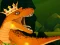 Permainan The Dino King secara online