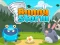Permainan Bunny Storm secara online