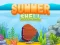 Permainan Summer Shell secara online