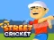 Permainan Street Cricket secara online