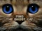 Permainan Find the Ghost Cat secara online