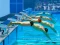 Permainan Swimming Pool Race secara online