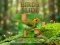 Permainan Birds Slide secara online