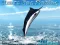 Permainan Azure Sea Fishing secara online