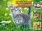 Permainan Kittens Jigsaw secara online