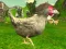 Permainan Chicken Shooter secara online