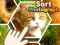 Permainan Sort Photograph secara online