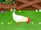 Permainan Stupid Chicken secara online