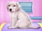 Permainan Labrador at the doctor salon secara online