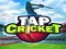 Permainan Tap Cricket secara online