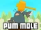Permainan Pum-Mole secara online