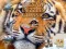 Permainan Jigsaw Puzzles Classic secara online