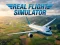 Permainan Real Flight Simulator secara online