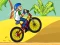 Permainan BMX Boy Online secara online