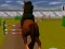 Permainan Jumping Horse 3d secara online