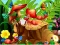 Permainan Hidden Objects Insects secara online
