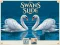 Permainan Swans Slide secara online