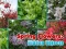 Permainan Spring Flowers: Hidden Objects secara online