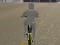 Permainan Bicycle Simulator secara online