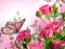 Permainan Butterflies Puzzle secara online
